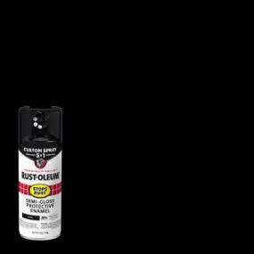 12 OZ SG BLK Spray Paint
