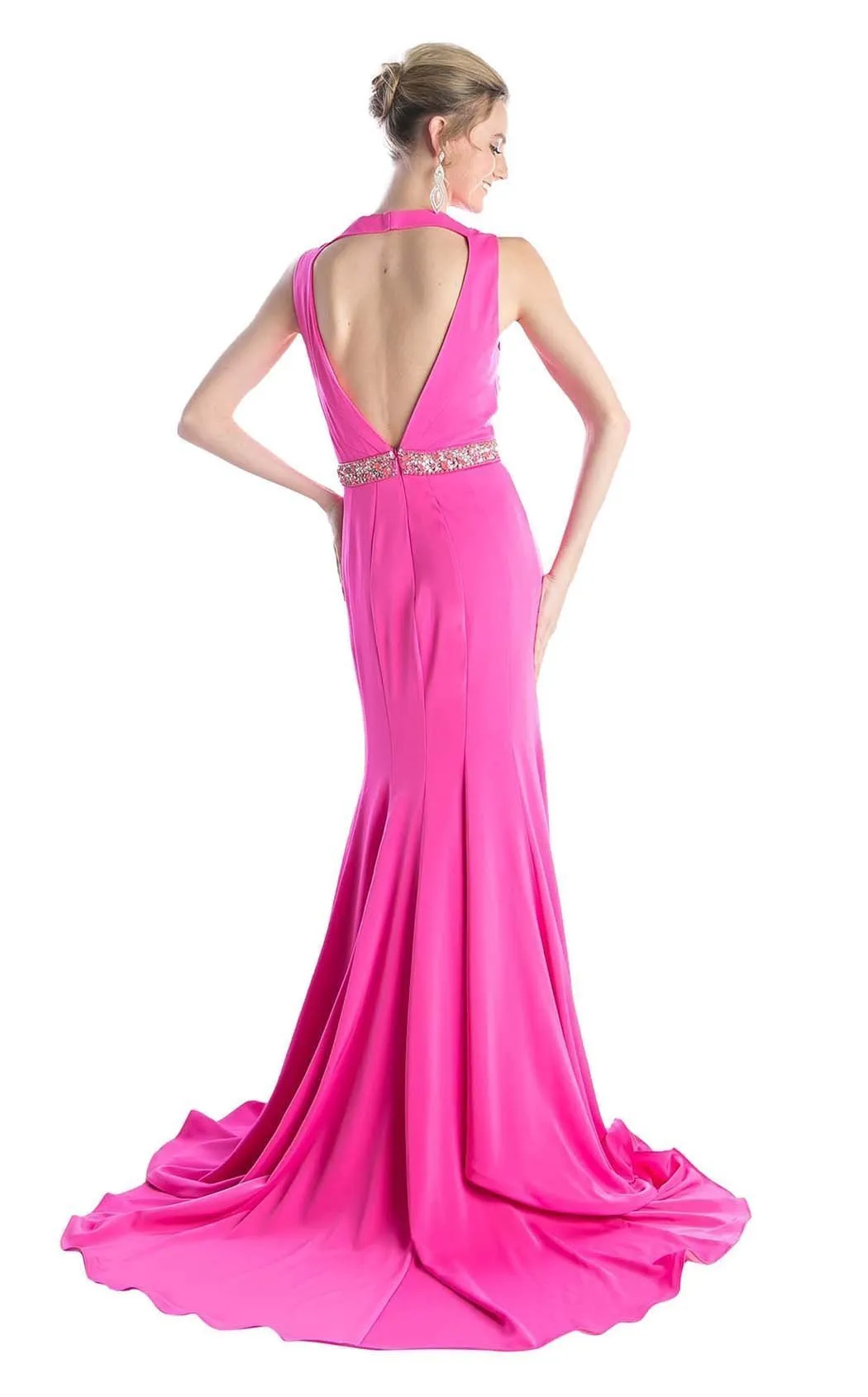 Cinderella Divine P107 Dress
