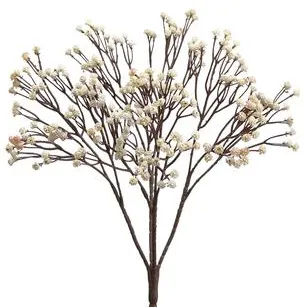 Cream Baby's Breath Bush