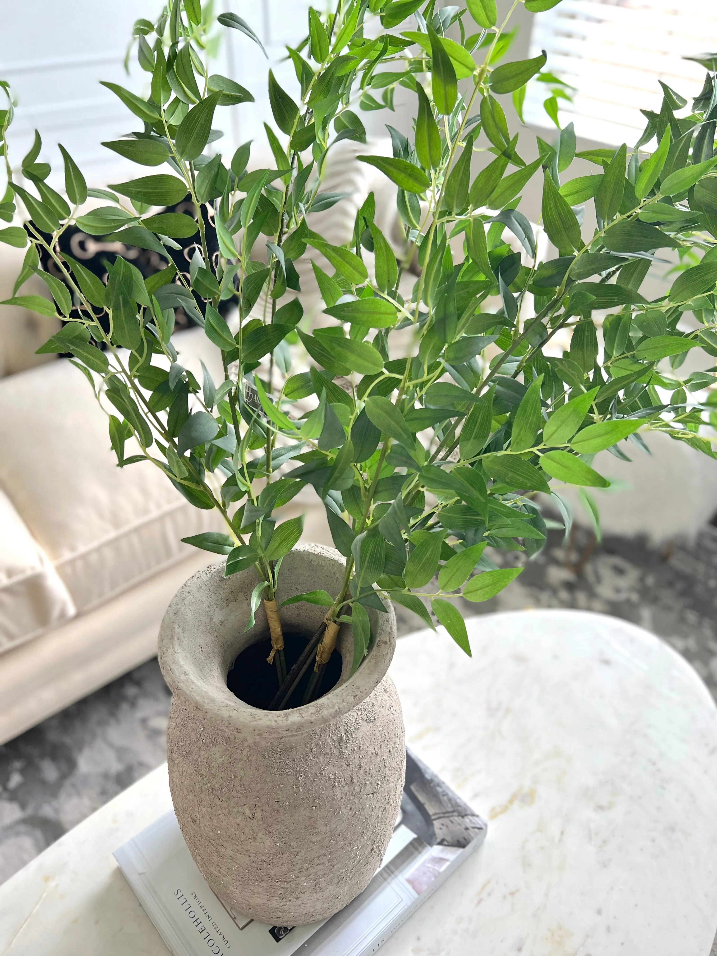 Italian Ruscus Bundle (3 Stems)