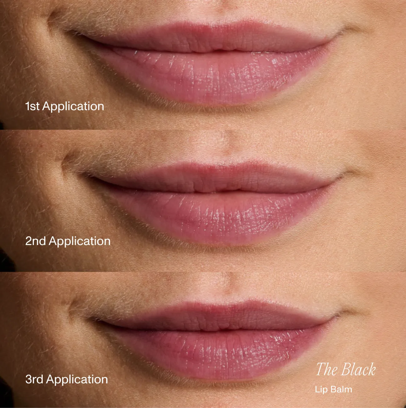 The Black Lip Balm