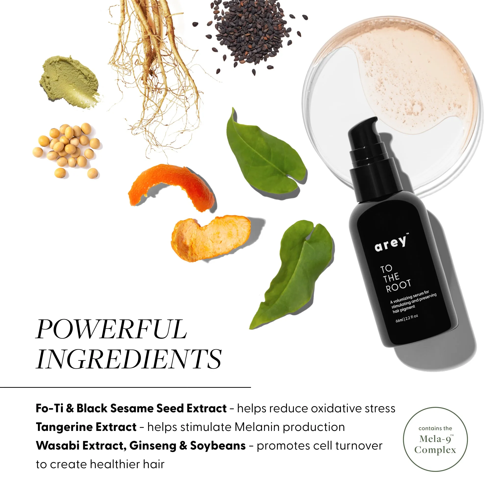 To The Root Serum 3-Pack